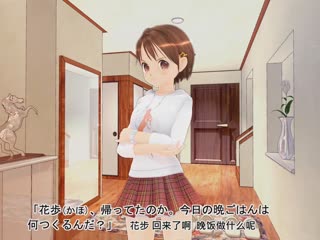 おにいちゃんのためのSEX講座